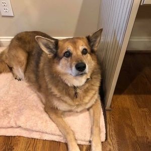 Meet your Posher, Kathee